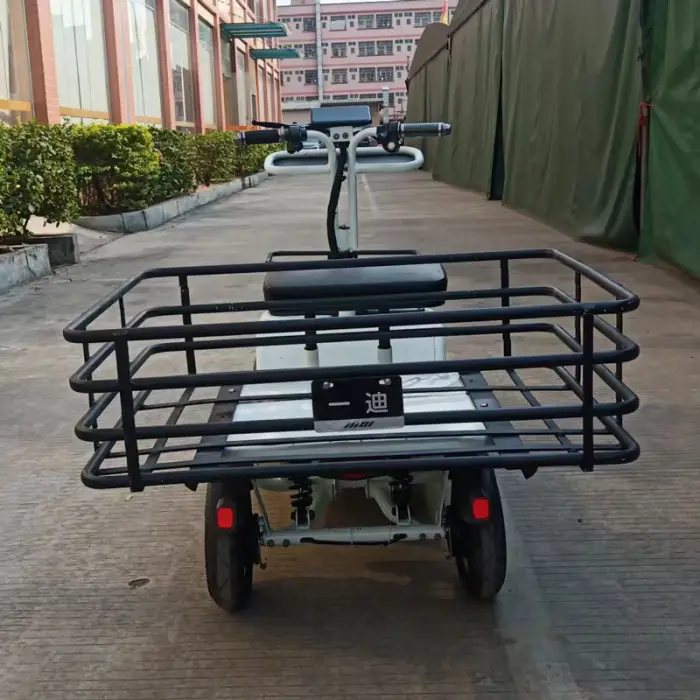 48V 1000W Mobility 4 Wheel Electric Cargo Bike 4 Wheel High Speed Electric Cargo Tricycles — image 5