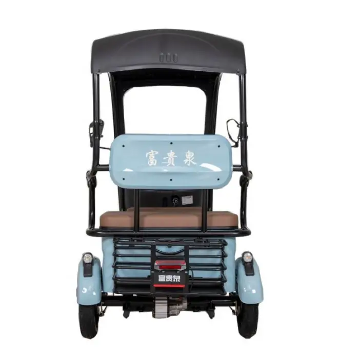 Passenger Small Trike New Style Leisure Tricycle with Cover in China Factory Direct Sale 3 Wheel ELectric Tricycle — image 4