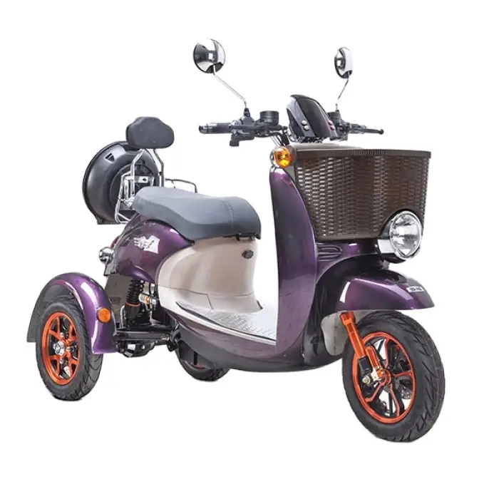 High Quality 3 Wheels Electric Tricycles Adult 48V20ah Lead Acid 800w Tricycle — image 3