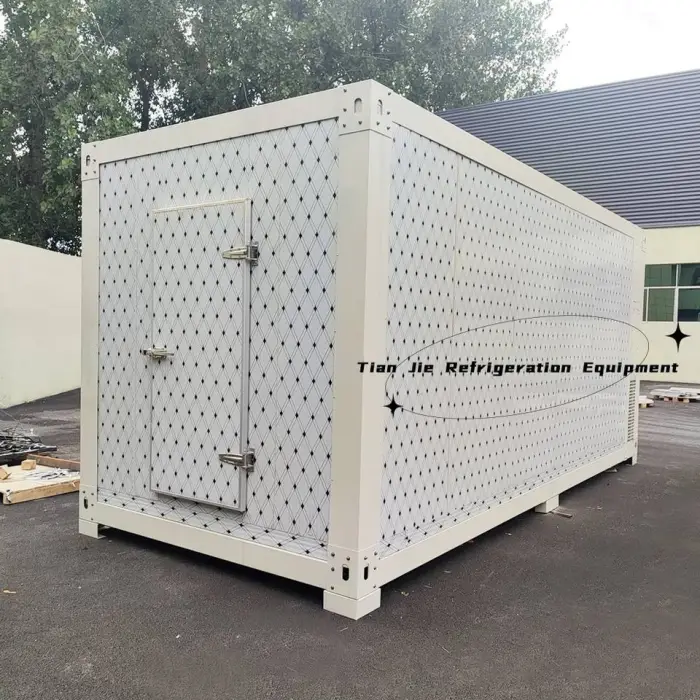 20ft Vegetable  Fish Meat Fruit Food and Beverage Cold Room Storage Refrigerator Freezer Container Freezer Room Provided — image 3