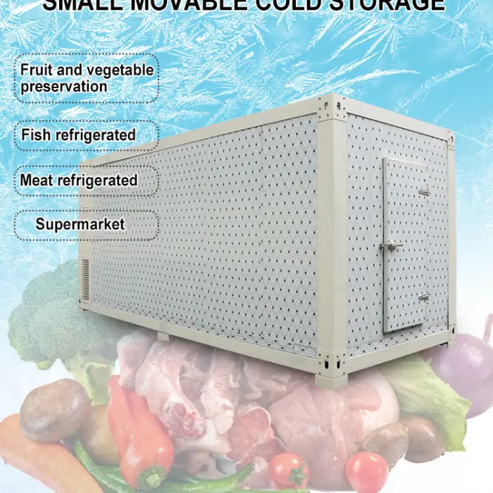 20ft Vegetable  Fish Meat Fruit Food and Beverage Cold Room Storage Refrigerator Freezer Container Freezer Room Provided — image 7