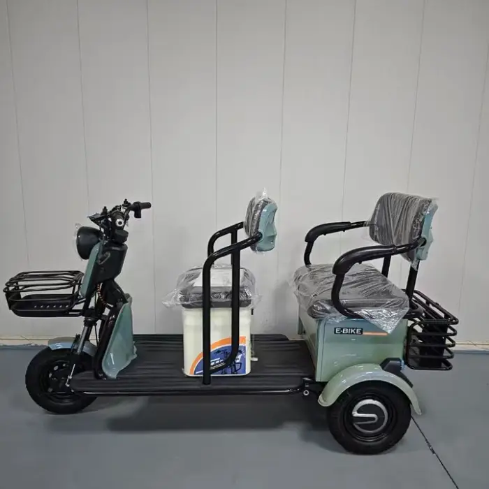 Electric Tricycle with 600W Rear Hub Motor Aluminum Frame Lead-Acid Battery Power Supply 3-Wheel Design — image 4