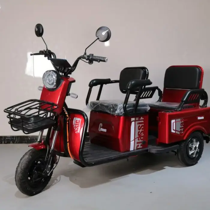 Electric Tricycle with 600W Rear Hub Motor Aluminum Frame Lead-Acid Battery Power Supply 3-Wheel Design — image 5