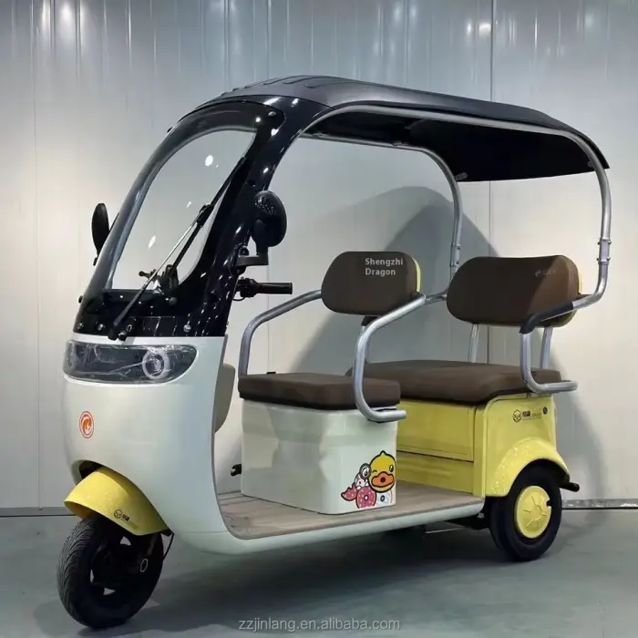 Cheap 3 Wheels Lithium Battery 3 Speed Double Row Seats Family Shuttle Passenger and Cargo Electric Tricycles — image 7