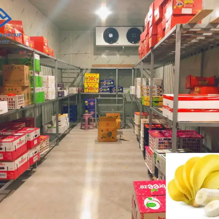 Positive 0~5 Degrees Centigrade Eco-Friendly Frascold Cold Room Storage Walk in Chiller for Preservation Fruits Vegetables — image 7