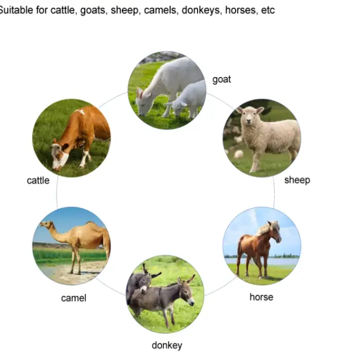 Easy Operation Milking Machine for Cows Portable Goat Milking Machines — image 6