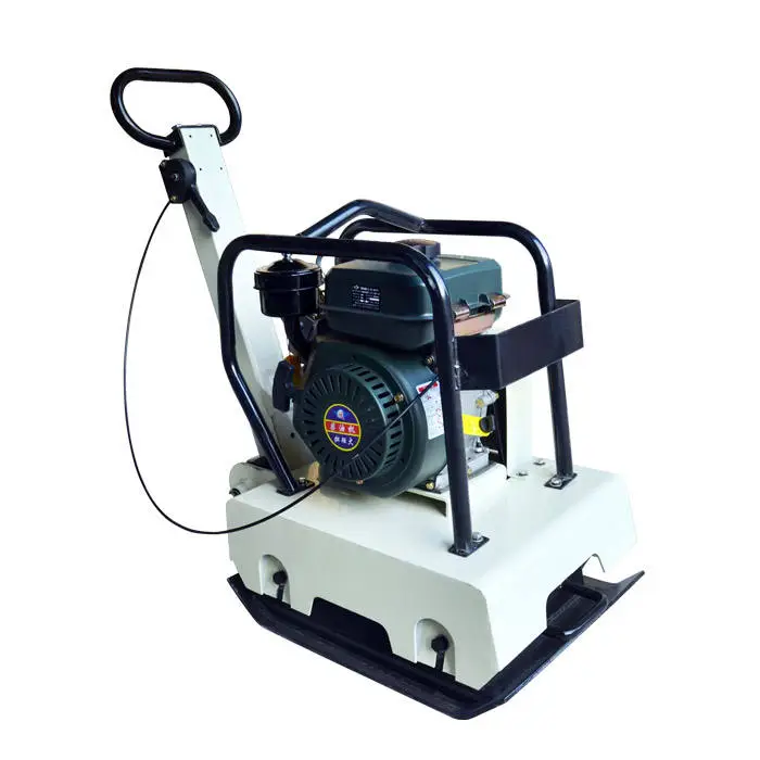 Deleixi DLX-160 Hand-Held Reversible Vibratory Plate Compactor Machine with 6.5HP Engine & Motor — image 3