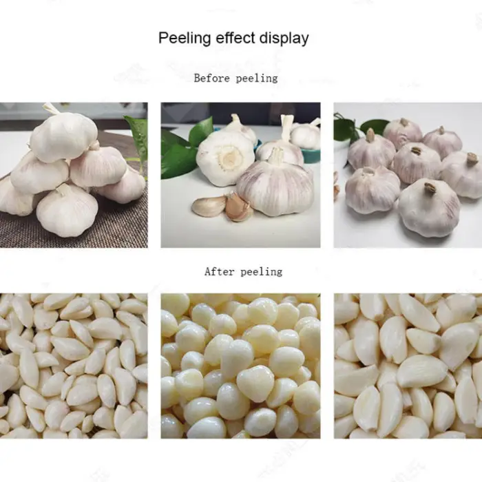 HN QDMECH High-Efficiency Food Processing Plant Garlic Dry Chain Peeling Machine Garlic Peeling Production Line Garlic Peeler — image 4