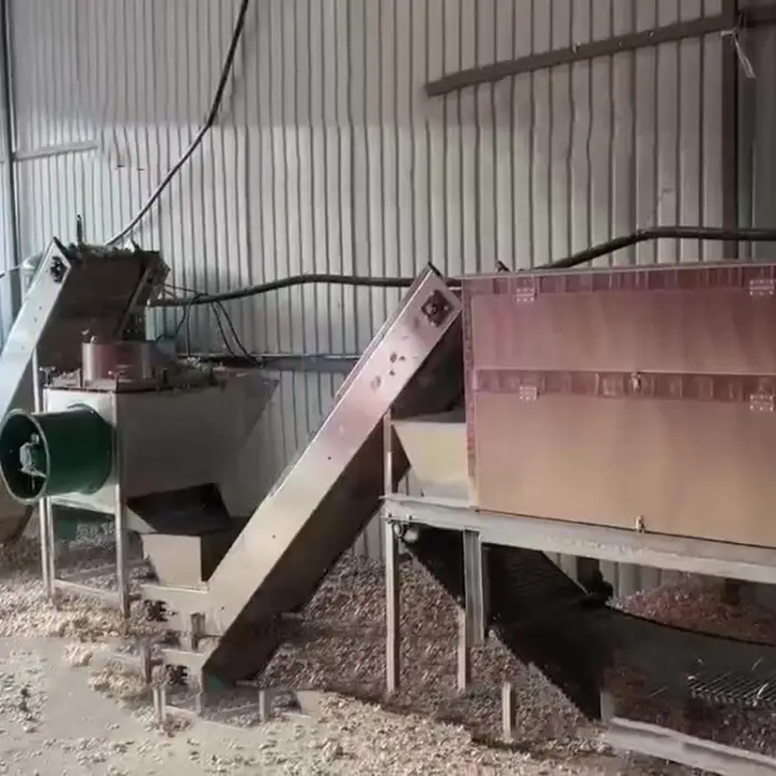HN QDMECH High-Efficiency Food Processing Plant Garlic Dry Chain Peeling Machine Garlic Peeling Production Line Garlic Peeler — image 7