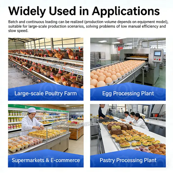 HN QDMECH High Efficiency Food-Grade Stainless Steel Chicken Duck Quail Egg Automatic Egg Tray Loader for Egg Processing Plant — image 5
