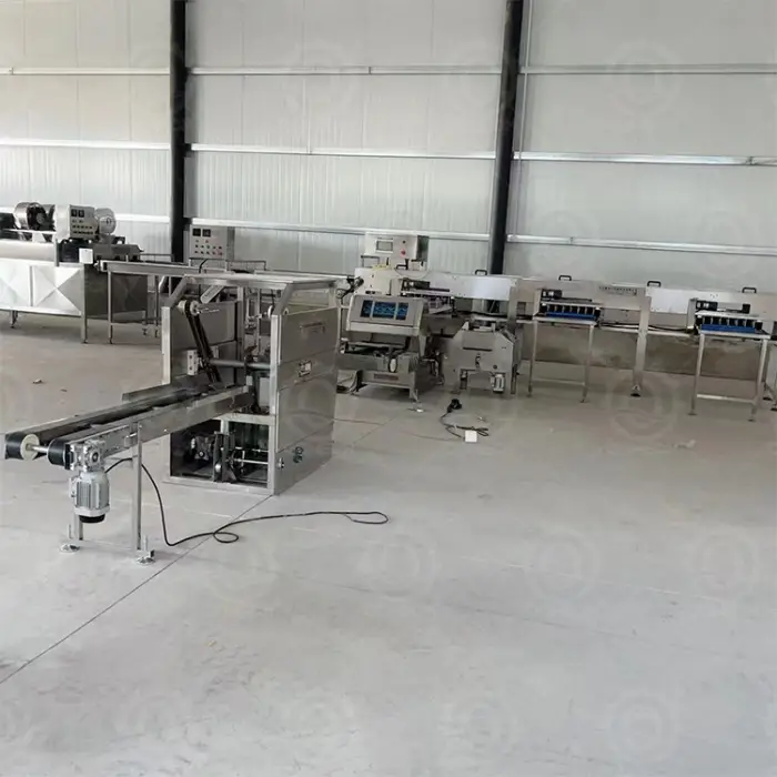 HN QDMECH High Efficiency Food-Grade Stainless Steel Chicken Duck Quail Egg Automatic Egg Tray Loader for Egg Processing Plant — image 7