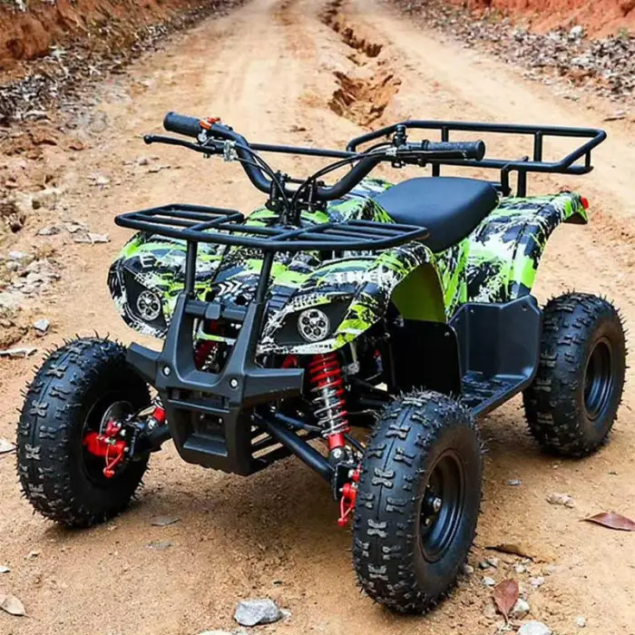 Children's Teen Off-road Buggy Karting Vehicle 2-stroke Gasoline 49cc Engine Hydraulic Disc Brake All-terrain Outdoor Kart — image 2
