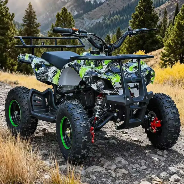 Children's Teen Off-road Buggy Karting Vehicle 2-stroke Gasoline 49cc Engine Hydraulic Disc Brake All-terrain Outdoor Kart — image 4