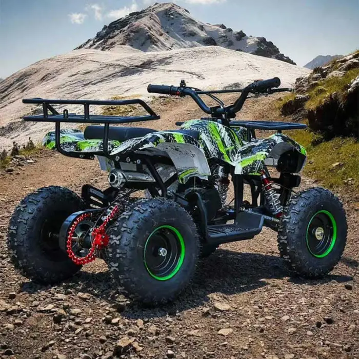 Children's Teen Off-road Buggy Karting Vehicle 2-stroke Gasoline 49cc Engine Hydraulic Disc Brake All-terrain Outdoor Kart — image 5