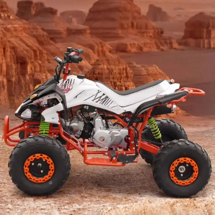 125 Small Mars Four-Wheel Electric ATV 750W/500W 4 Stroke 125cc Chain Drive All-Terrain Off-Road Beach Snow Vehicle — image 3