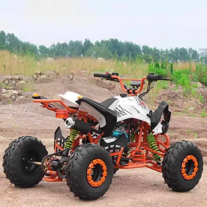 125 Small Mars Four-Wheel Electric ATV 750W/500W 4 Stroke 125cc Chain Drive All-Terrain Off-Road Beach Snow Vehicle — image 6