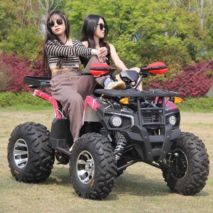 Vehicle Gasoline Adult 200cc 4 Stroke Disc Brake Chain Drive Four-Wheel Drive — image 2