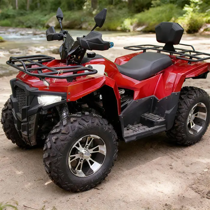300cc Gasoline Beach Racing Off-Road Go-Kart All-Terrain ATV with Hydraulic Disc Brakes — image 2