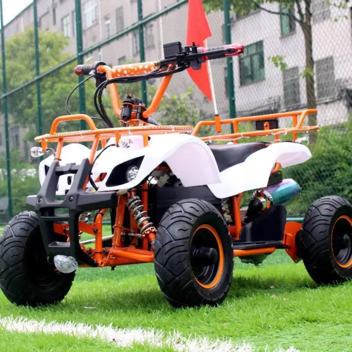 Factory Direct Children's Electric Gokarts 500W 30km/h Max Speed Beach Park Recreation — image 2