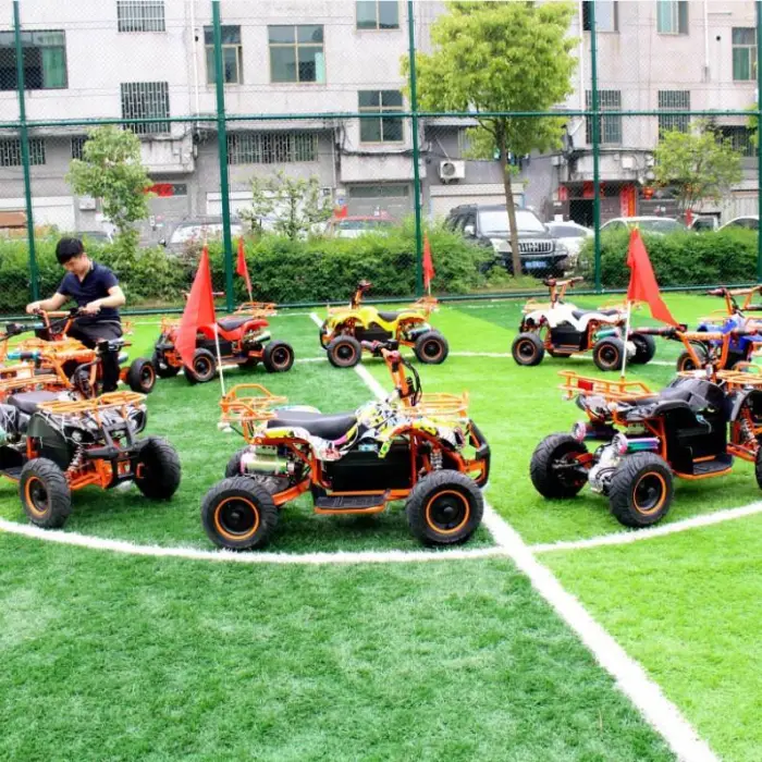 Factory Direct Children's Electric Gokarts 500W 30km/h Max Speed Beach Park Recreation — image 3