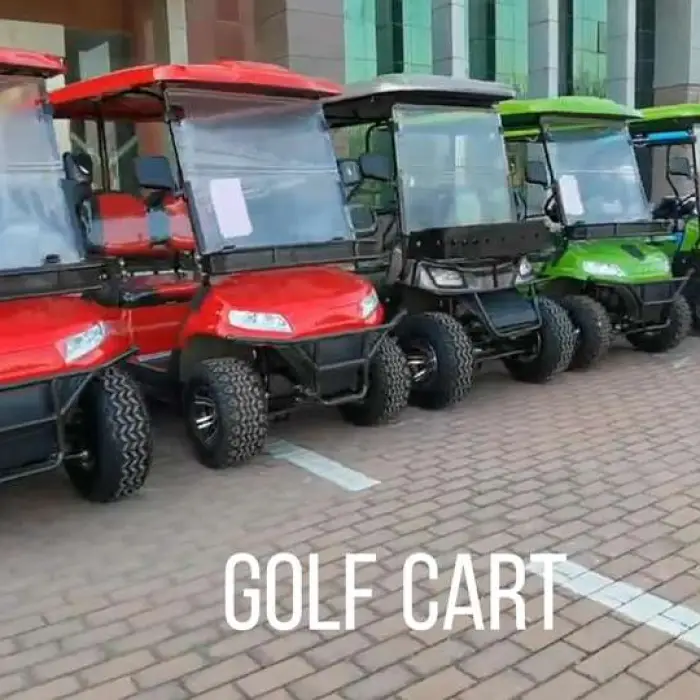 Golf Buggy Electric Cart 4 Seater Golf Cart New Modle Style Golf Wholesale Battery Passenger Electric Small Car — image 3