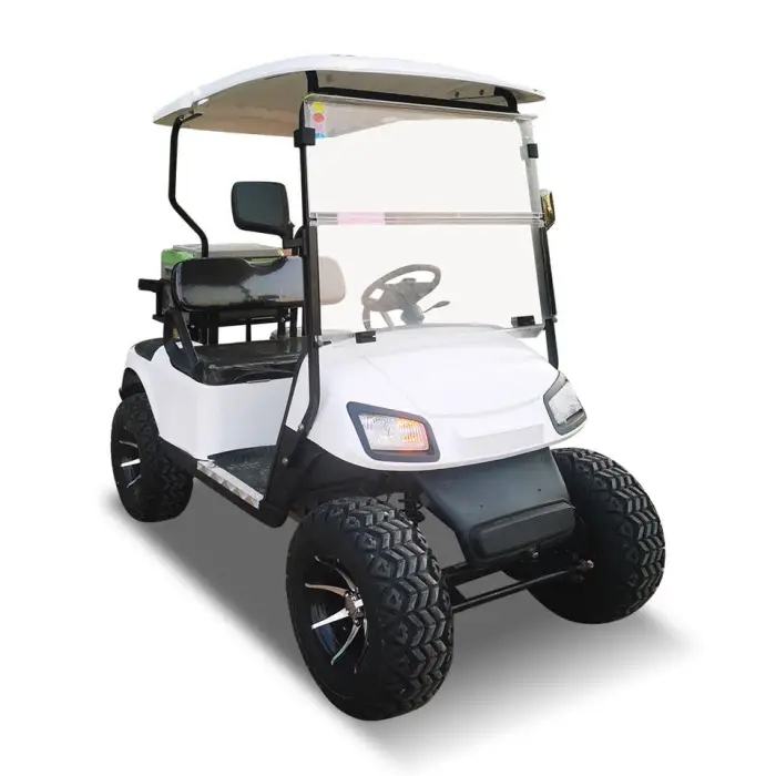 2 Passengers Electric Golf Cart Brand New Design Factory Sightseeing Bus Electric Golf Car — image 3