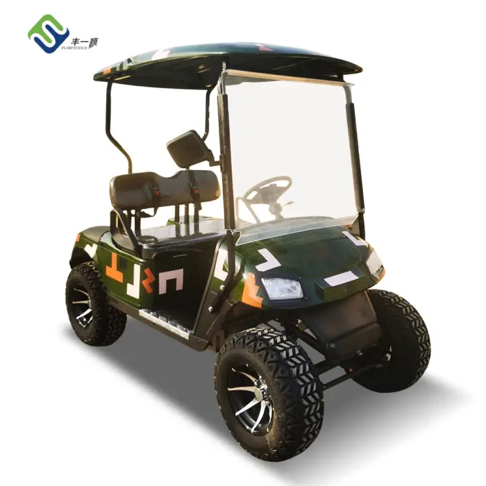 2 Passengers Electric Golf Cart Brand New Design Factory Sightseeing Bus Electric Golf Car — image 4