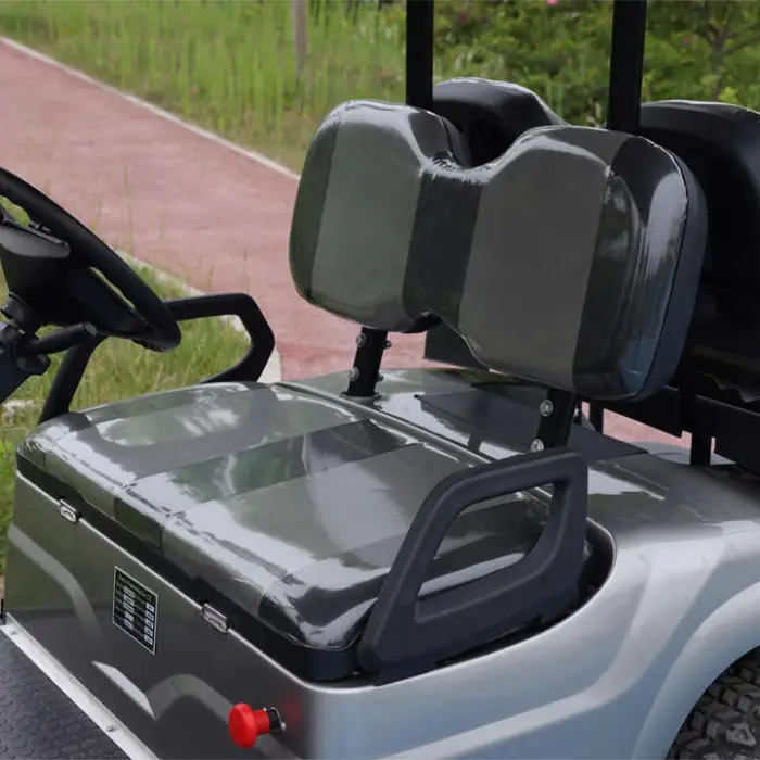 Import Golf Carts From China Brand New Design Factory 4 Seat Sightseeing Bus Club Cart Electric Golf Buggy — image 5