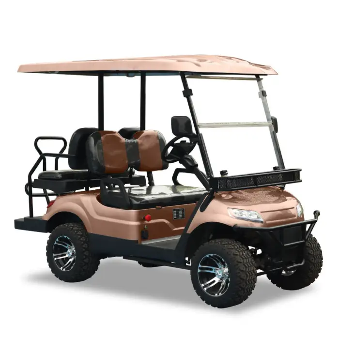 4 High-quality Factories Directly Produce Electric Golf Cart with Adult Light shields with Lithium Battery for Sale — image 6