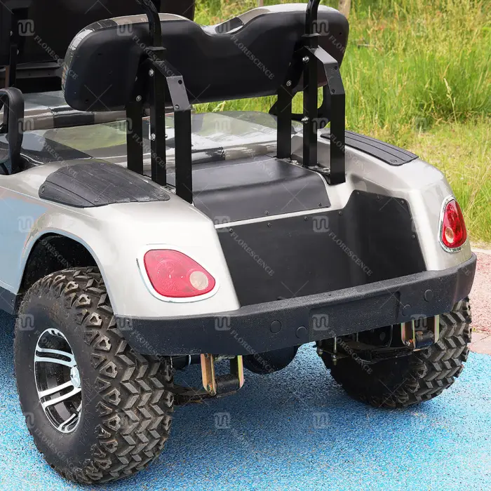4 Seaters 4 Wheel Club Car Lifted 4 Passenger Classic Electric Sightseeing Golf Car — image 6