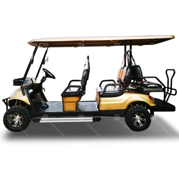 2023 America Hot Sale 4X4 4 Seat 2 Seater Electric Golf Car Cheap Sport Off Road Hunting Electric Golf Cart for Sale — image 3