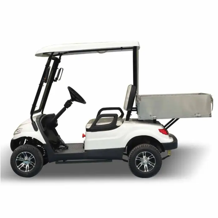 Prices Import Fast Enclosed 2 Person Electric Mini Golf Cart Manufacturer — image 3