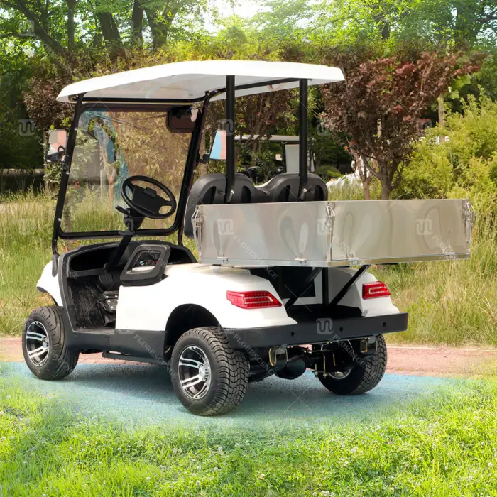 Prices Import Fast Enclosed 2 Person Electric Mini Golf Cart Manufacturer — image 4