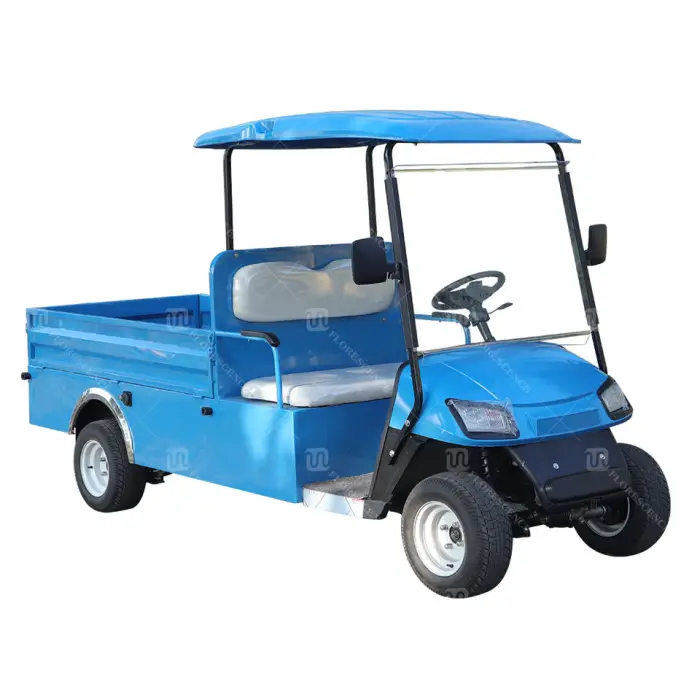Prices Import Fast Enclosed 2 Person Electric Mini Golf Cart Manufacturer — image 5