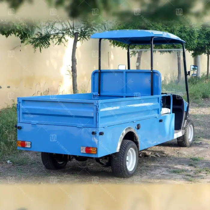 Prices Import Fast Enclosed 2 Person Electric Mini Golf Cart Manufacturer — image 6