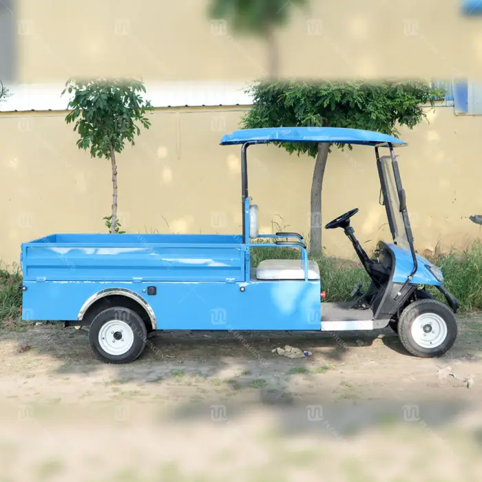 Prices Import Fast Enclosed 2 Person Electric Mini Golf Cart Manufacturer — image 7