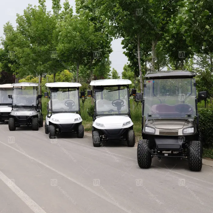 CE 2025 6 Seater Sightseeing Scooter Club Car Electric Golf Cart Low Price and High Quality with Lithium Battery Can Customized — image 5
