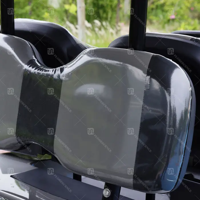 CE 2025 6 Seater Sightseeing Scooter Club Car Electric Golf Cart Low Price and High Quality with Lithium Battery Can Customized — image 7