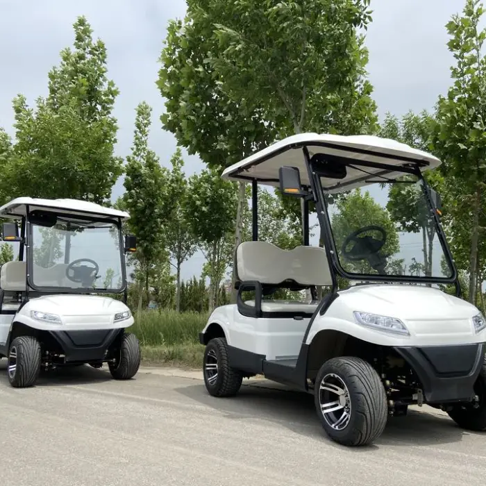 Electric Road Legal Xtrider Remote Control Defender Golf Cart Buggy with CE Certification 30km/h Speed & 90km Range for Hotels — image 4