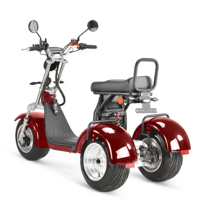 EU Door-to-Door EEC Dual 2000W Motors 60V55Ah Lithium Battery Electric Scooter — image 5