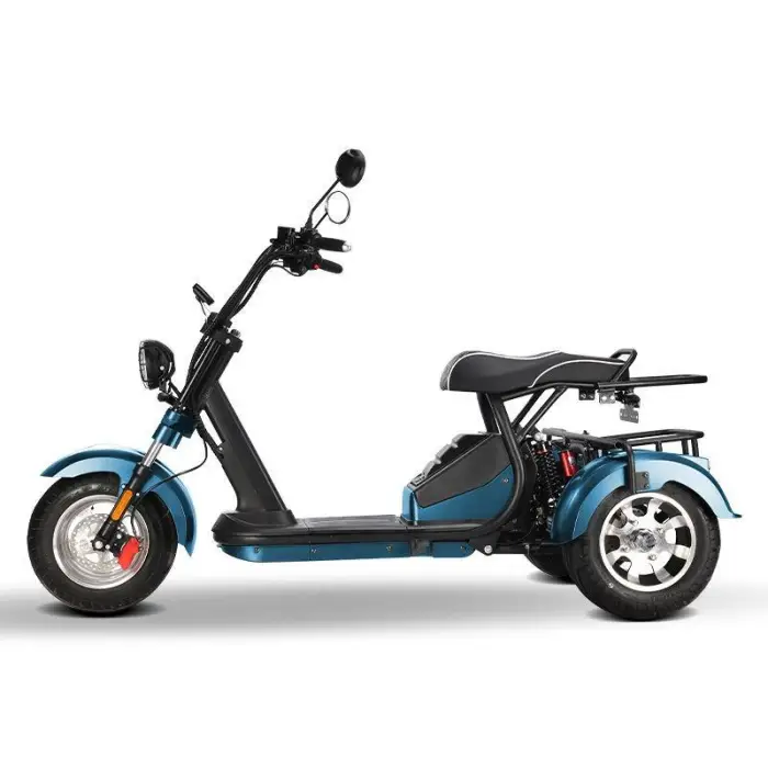 Adult 3-Wheel Electric Tricycle 2026 New EEC 2000W 60V with Basket Battery Optional — image 4