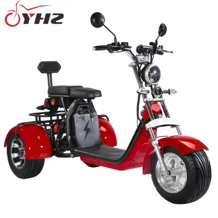 Europe Door to Door Tricycle Coc 3-Wheel Three Wheel Citycoco Electric Scooter EEC — image 2