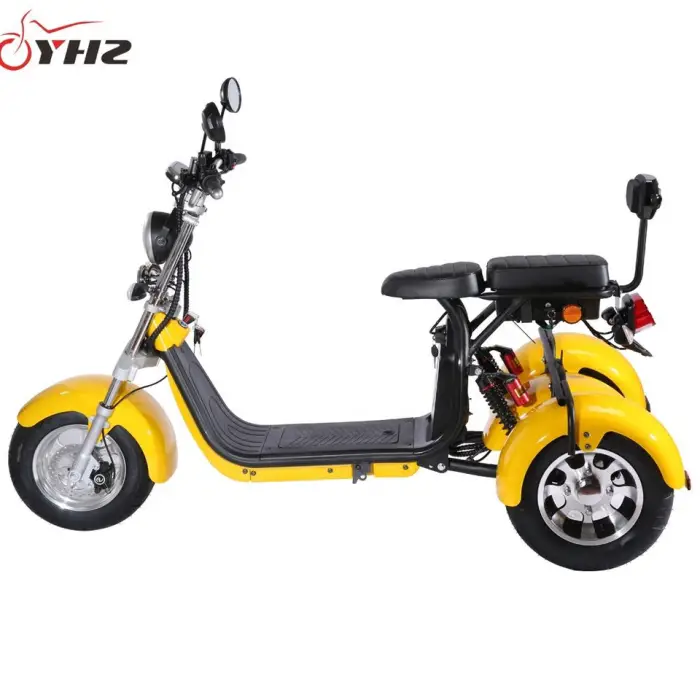 Europe Door to Door Tricycle Coc 3-Wheel Three Wheel Citycoco Electric Scooter EEC — image 3