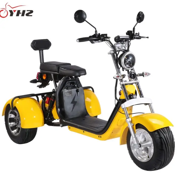 Europe Door to Door Tricycle Coc 3-Wheel Three Wheel Citycoco Electric Scooter EEC — image 5
