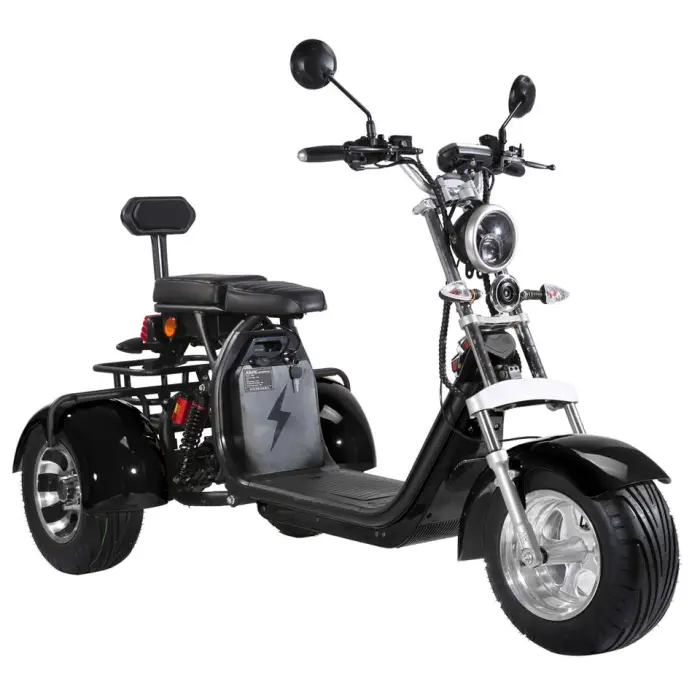 2026 Hot Selling Three Wheels Electric Scooter Bike Citycoco 2000W EEC COC Certificate — image 2