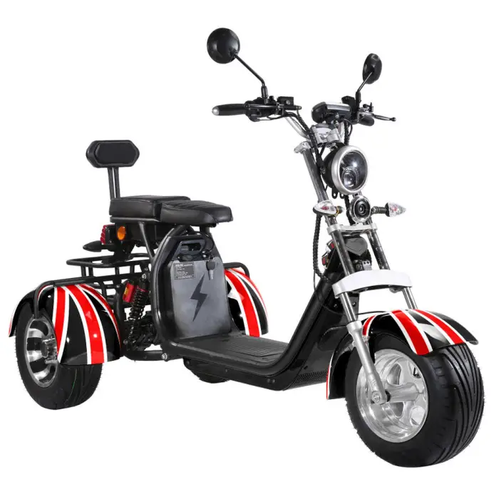 2026 Hot Selling Three Wheels Electric Scooter Bike Citycoco 2000W EEC COC Certificate — image 3