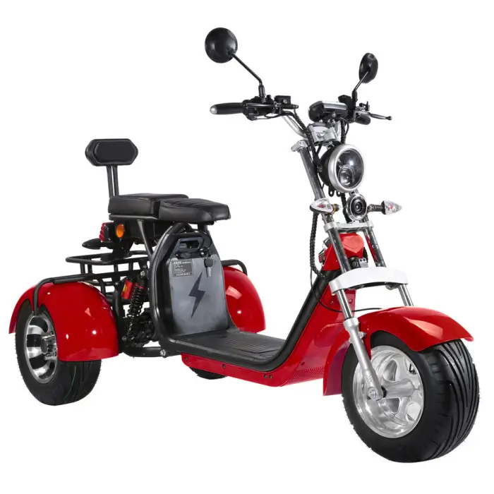 2026 Hot Selling Three Wheels Electric Scooter Bike Citycoco 2000W EEC COC Certificate — image 4
