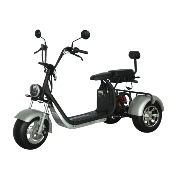 EEC COC Approved 1500W 2000W Electric Tricycle Adult 3 Wheel Scooter with 10 Inch Fat Tyres Scooters — image 3