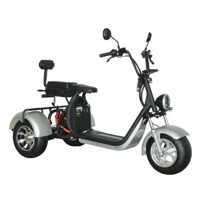 EEC COC Approved 1500W 2000W Electric Tricycle Adult 3 Wheel Scooter with 10 Inch Fat Tyres Scooters — image 4