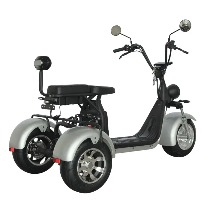 EEC COC Approved 1500W 2000W Electric Tricycle Adult 3 Wheel Scooter with 10 Inch Fat Tyres Scooters — image 6